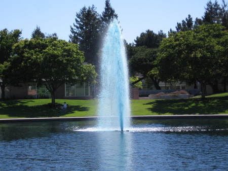 Bernardino B. White (Deanie/Dino)'s album, Me in Sunnyvale, CA city park on a Spring Day