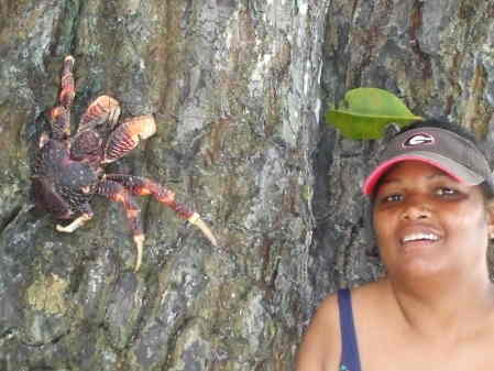 Deigo Garcia Coconut Crabs