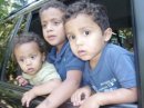 MY GRANDSONS SAYIN HI TO A BABY DEER.