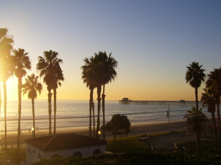 Palm trees and Oceanside pier