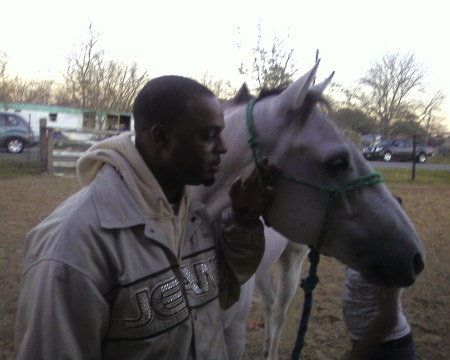 chicago texas cowboy