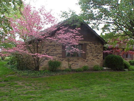 Front of the house in the spring