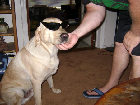 Gunney: too cool