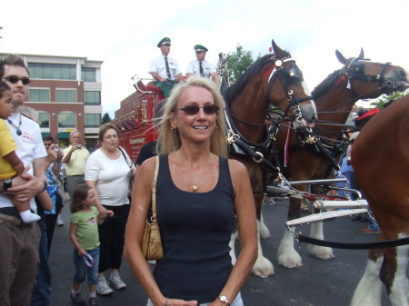 Budweiser Clydesdale Palatine 7-30-09 034