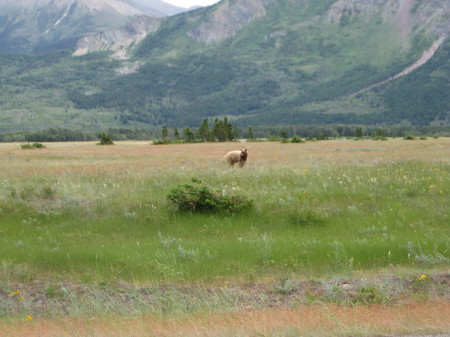 Montana-Canada, 2009 037