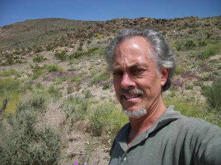 Robert Burns in the Anza-Borrego Desert