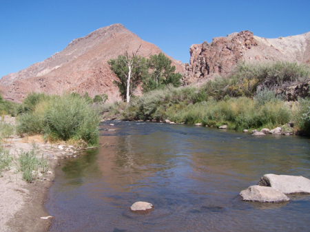 walker river, vacation photo