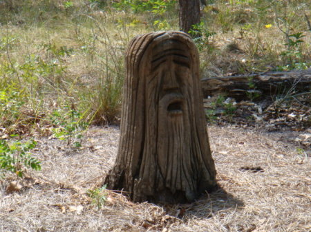 Withlacoochee River Park