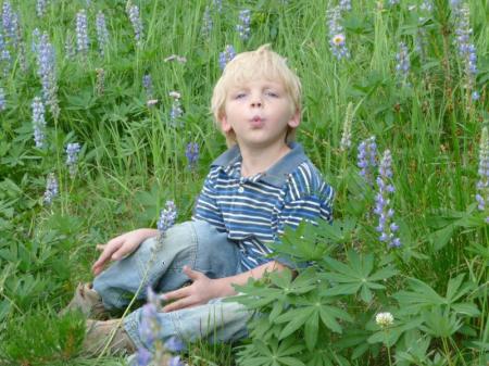 Christopher in the lupine