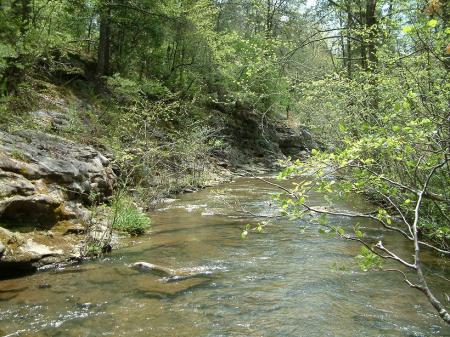 Fall Creek that becomes Ozone Falls...