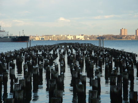 seagulls perched on pilings