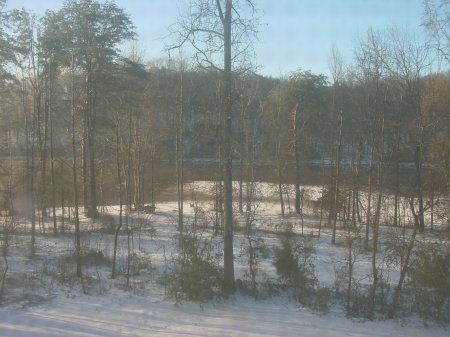 Snowy backyard