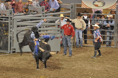 beaumont rodeo (nikon) 438