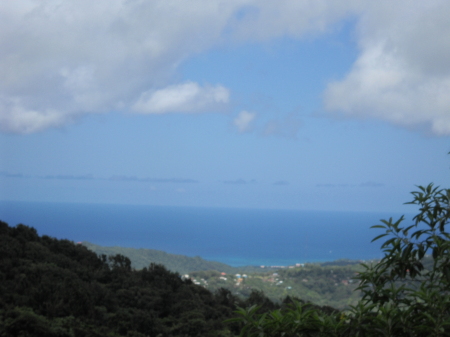 Top of rain forest overlooking island and sea