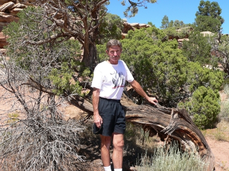 The Colorado National Monument