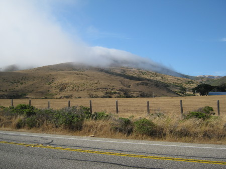 Fog and coastal Pasture.