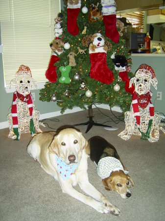 Merry Ruff, Ruff, Ruff!