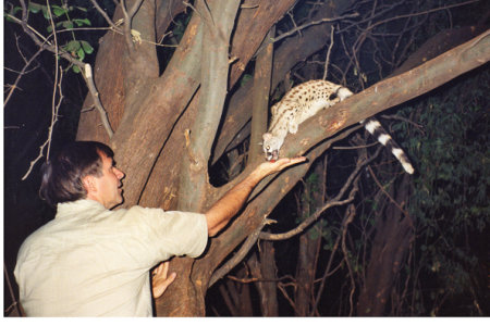 Genet (Tanzania)