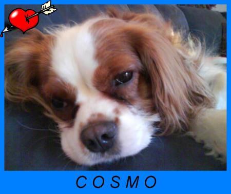 Cosmo