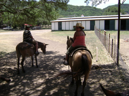 Riding Horses