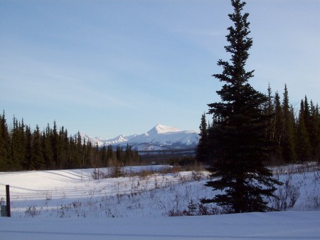 Denali National Park