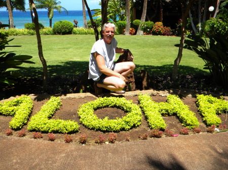 Aloha from Maui