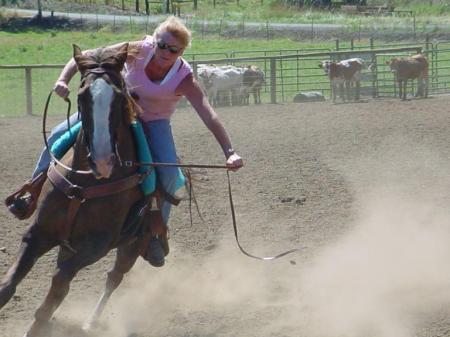 Team Penning