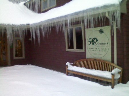 Ice dangling from the eaves