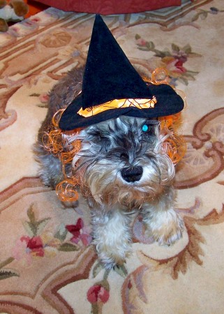 Bessie the Halloween witch