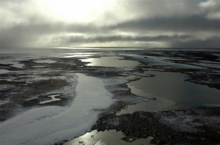 Artic Tundra 2008