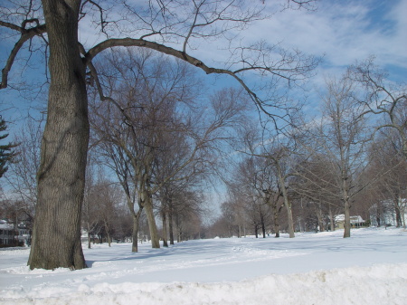 Longmeadow Green in winter