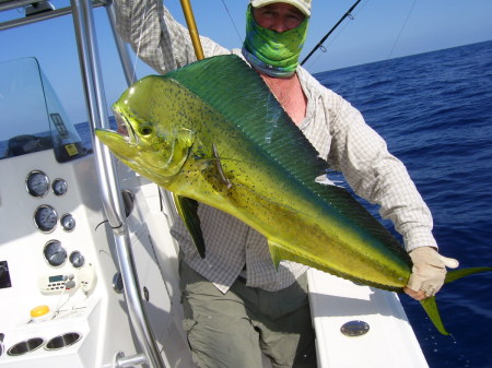 39 lb Dolphin Fish!  May 29, 2009