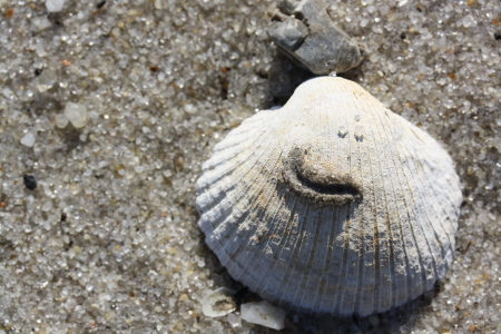 Everybody smiles on the Beach