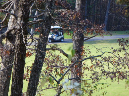 The view our the back door by the pond.