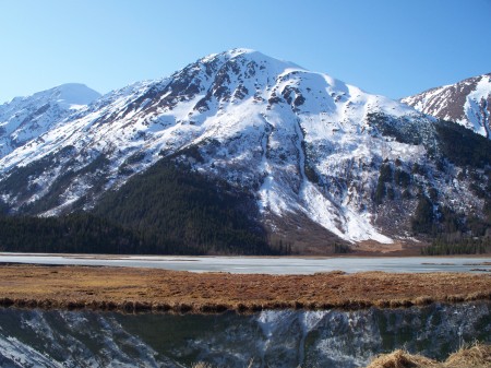 Tern Lake