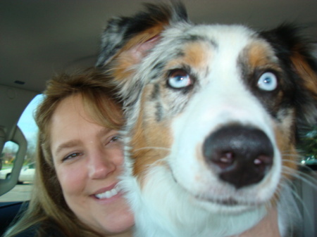 My NEW PUP, Skyler Blue, Australian Shepherd