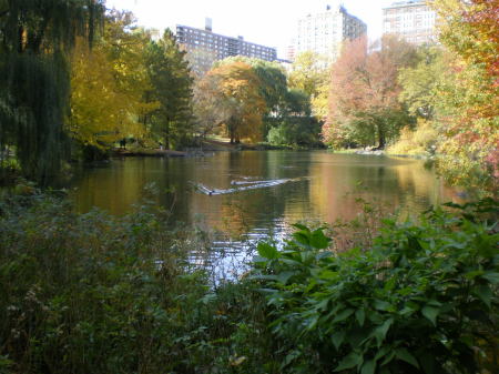 The Duck Pond, Central Park