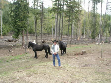 Rocky and his horses