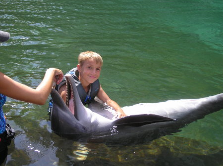 Justin swimming with the dolphins in Hawaii