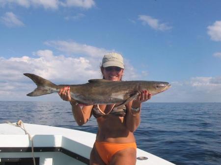 My first Cobia, caught in the Gulf of Mexico