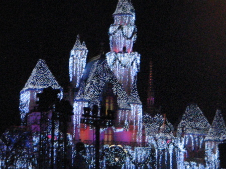 Christmas at Disneyland 2007