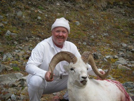 Alaska Ram