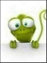 Ugly cute frog
