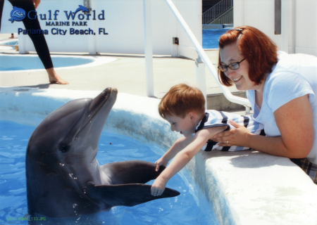 Mikey and the Dolphin