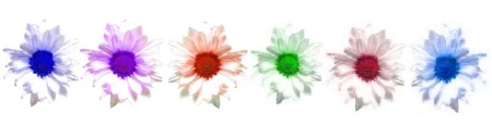 Daisy Rainbow Chain