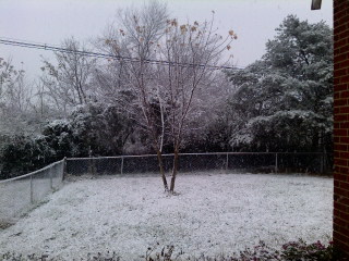 1st Snow 09 001