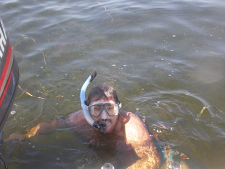 snorkling for scallops