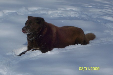 Ruby - Yes we do get snow here occasionally