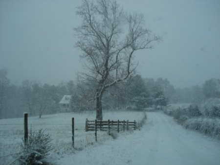 My Driveway.