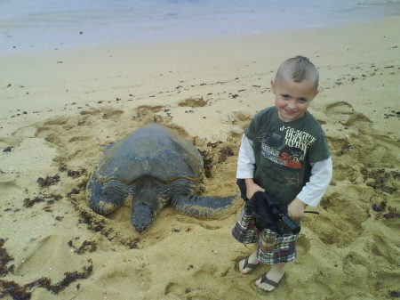tristen with the turtles